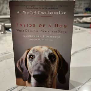 All about Digs book.  #1 Bestseller.